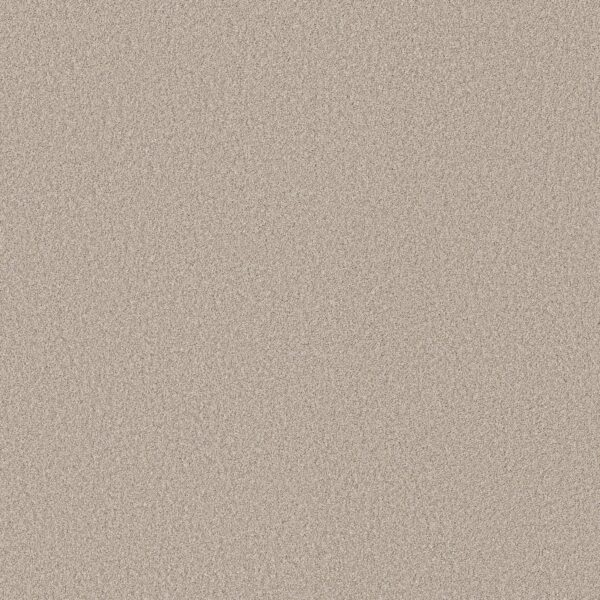 Shaw Floors Carpet Pure Affection T Beige Mist 00121_5E892