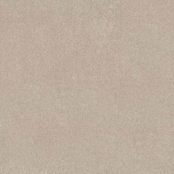Shaw Floors Carpet Pure Affection T Cafe Latte 00122_5E892