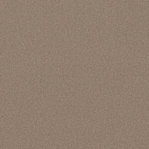 Shaw Floors Carpet Pure Affection T Stonecrest 00123_5E892