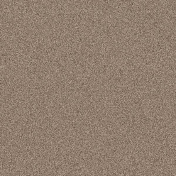 Shaw Floors Carpet Pure Affection T Stonecrest 00123_5E892