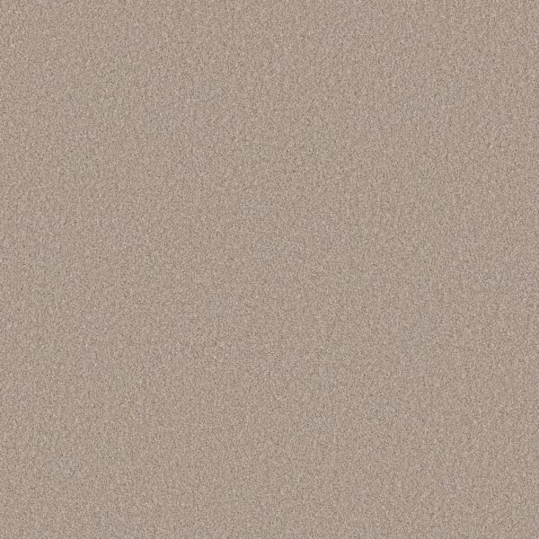 Shaw Floors Carpet Pure Affection T Chic Taupe 00124_5E892