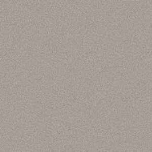 Shaw Floors Carpet Pure Affection T Four Winds 00520_5E892