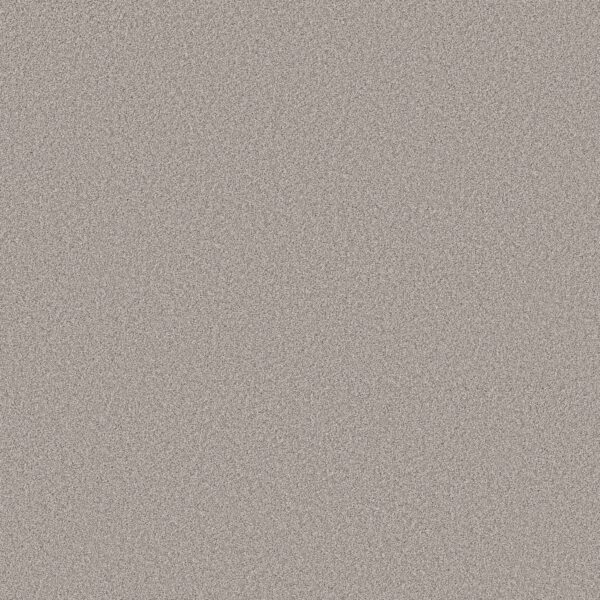 Shaw Floors Carpet Pure Affection T Four Winds 00520_5E892