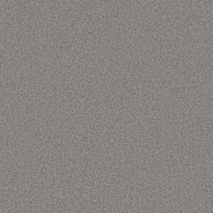 Shaw Floors Carpet Pure Affection T Graphic 00522_5E892