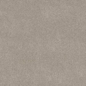 Shaw Floors Carpet Pure Affection T Marble 00523_5E892