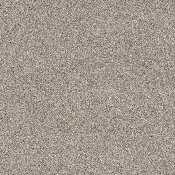 Shaw Floors Carpet Pure Affection T Marble 00523_5E892
