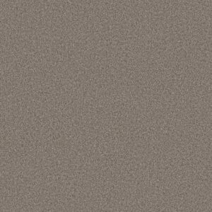 Shaw Floors Carpet Pure Affection T Shadows 00524_5E892