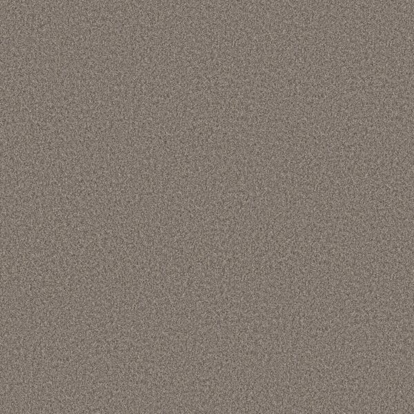Shaw Floors Carpet Pure Affection T Shadows 00524_5E892