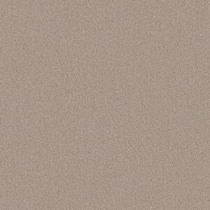Shaw Floors Carpet Pure Affection T Baja 00720_5E892
