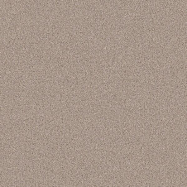 Shaw Floors Carpet Pure Affection T Baja 00720_5E892