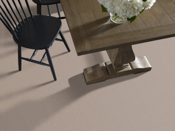 Shaw Floors Carpet Pure Affection T Baja 00720_5E892 - Image 2