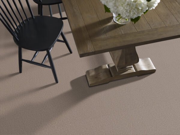 Shaw Floors Carpet Pure Affection T Mocha 00721_5E892 - Image 2