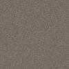 Shaw Floors Carpet Pure Affection T Hideaway 00722_5E892