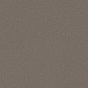 Shaw Floors Carpet Pure Affection T Hideaway 00722_5E892