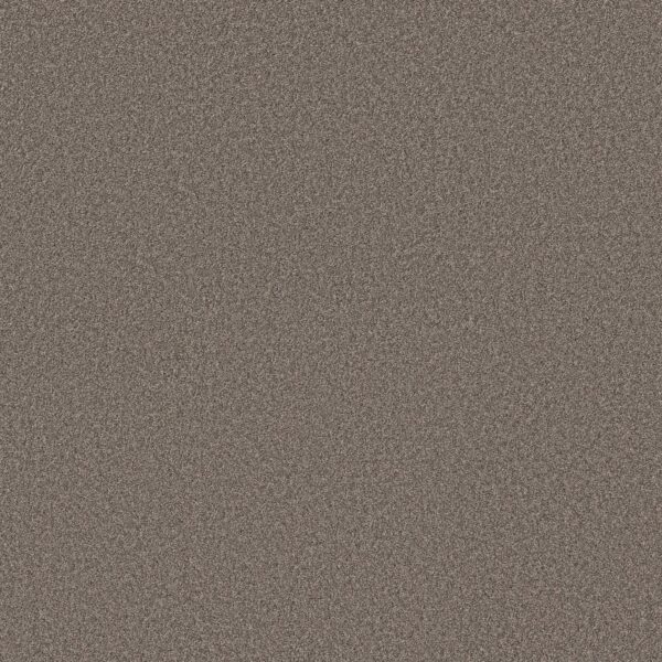 Shaw Floors Carpet Pure Affection T Hideaway 00722_5E892