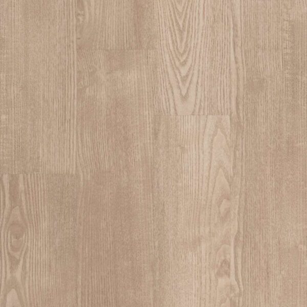 Shaw Glue-Down LVP Symbiotic 12 Sandstone 6"