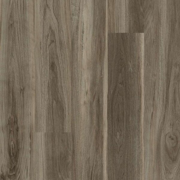 Shaw Glue-Down LVP Symbiotic 12 Sparrow 6"