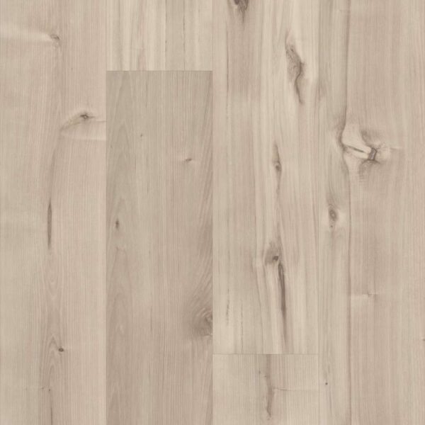 Shaw Glue-Down LVP Symbiotic 12 Canvas 6"