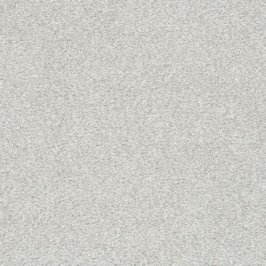 Dreamweaver Carpet Silver Lining IV Virga Carpet 7533_2764