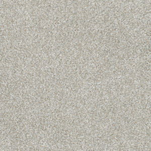 Dreamweaver Carpet Silver Lining IV Distrail Carpet 7533_2785