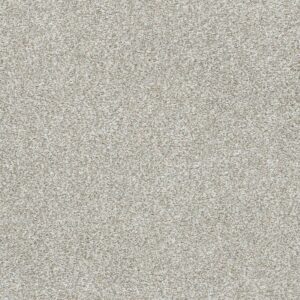 Dreamweaver Carpet Silver Lining III Distrail Carpet 6033_2785