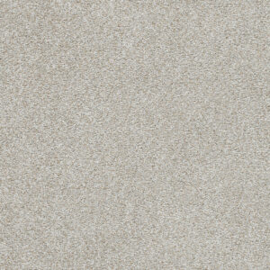 Dreamweaver Carpet Silver Lining IV Stratosphere Carpet 7533_2825