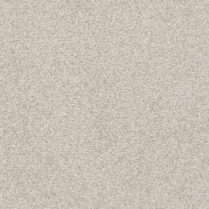 Dreamweaver Carpet Silver Lining IV Nimbus Carpet 7533_2838