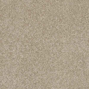 Dreamweaver Carpet Silver Lining IV Dust Carpet 7533_2892