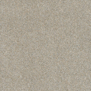 Dreamweaver Carpet Silver Lining II Cirrus Carpet 4533_2904