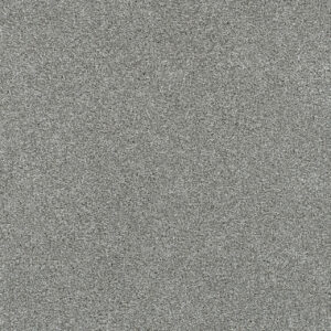 Dreamweaver Carpet Silver Lining II Stratus Carpet 4533_2930