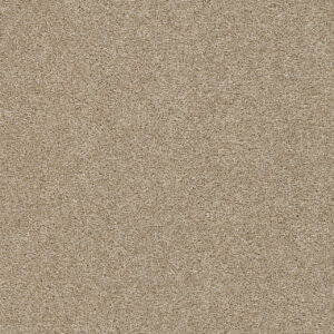 Dreamweaver Carpet Silver Lining IV Cumulus Carpet 7533_2941