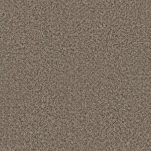 Dreamweaver Carpet Brazen I Beach Walk Carpet 6240_4385