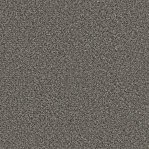 Dreamweaver Carpet Brazen II Bayou Carpet 6260_436