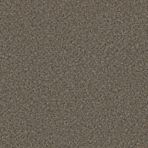 Dreamweaver Carpet Brazen I Warm & Toasty Carpet 6240_4734