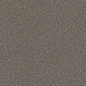 Dreamweaver Carpet Brazen II Windswept Carpet 6260_4832