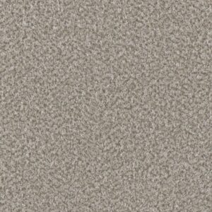 Dreamweaver Carpet Brazen I Ray Of Light Carpet 6240_4848