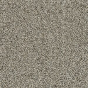 Dreamweaver Carpet Autumn Glow II Salted Toffee Carpet 6255_4591