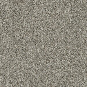 Dreamweaver Carpet Autumn Glow II Caramel Swirl Carpet 6255_4773