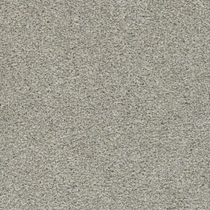 Dreamweaver Carpet Autumn Glow II Whisper Carpet 6255_5014