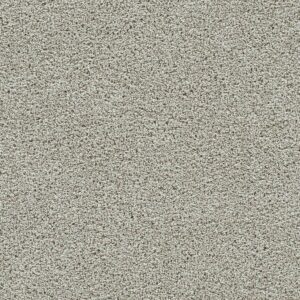 Dreamweaver Carpet Autumn Glow III Fairview Carpet 6265_5099