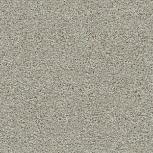 Dreamweaver Carpet Autumn Glow I Orchard Carpet 6245_5286