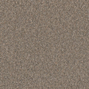 Dreamweaver Carpet Timberline I Baked Apple Carpet 6345_4105