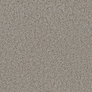 Dreamweaver Carpet Timberline II Celestial Carpet 6355_4343