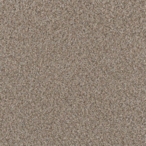 Dreamweaver Carpet Timberline III Iced Frappe Carpet 6365_4423