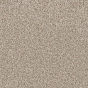Dreamweaver Carpet Timberline I Blossom Carpet 6345_4511
