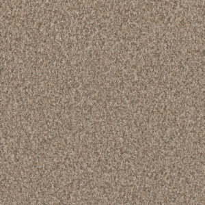 Dreamweaver Carpet Timberline II Sunshine Carpet 6355_4528