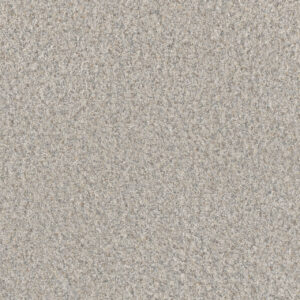 Dreamweaver Carpet Timberline I Lush Gardenia Carpet 6345_4643