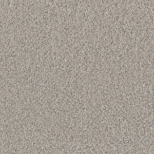Dreamweaver Carpet Timberline III Imperial Carpet 6365_4723