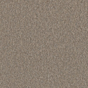 Dreamweaver Carpet Timberline III Cozy Path Carpet 6365_5073