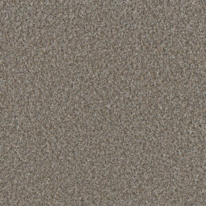 Dreamweaver Carpet Timberline III Cedar Key Carpet 6365_5197